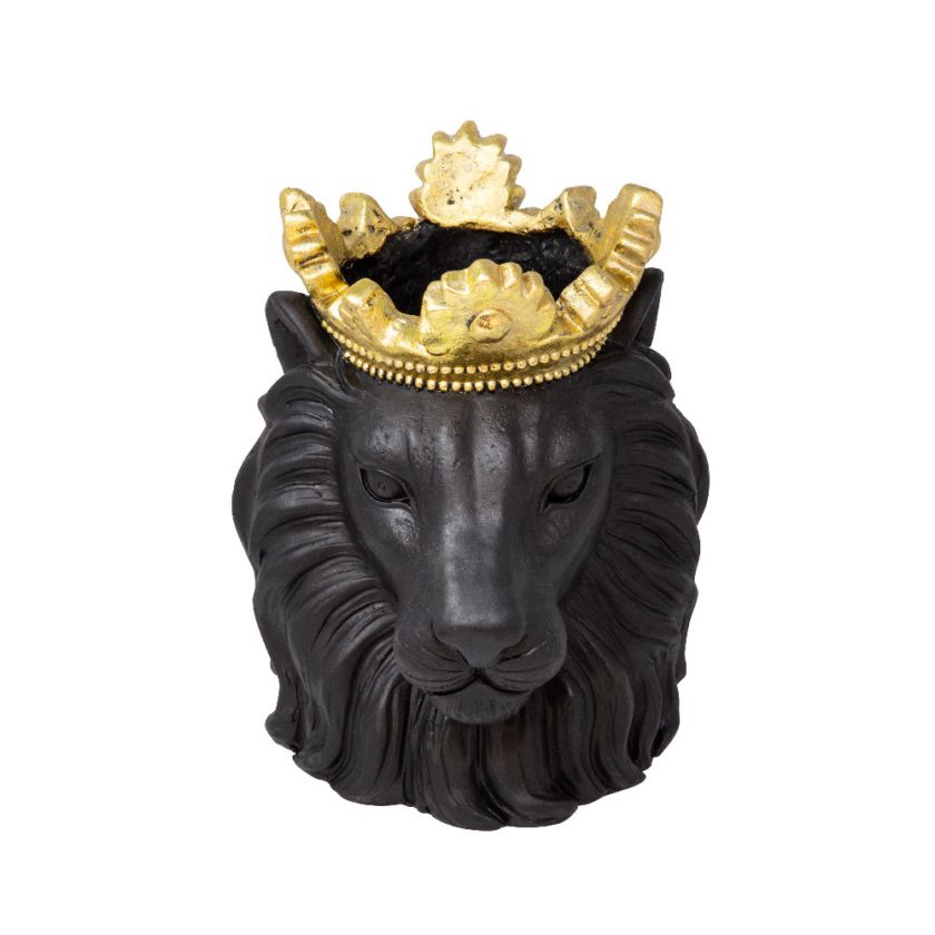 leon negro corona duartee