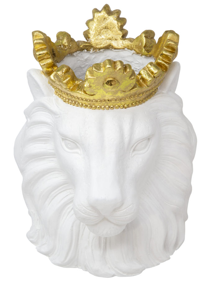 león blanco con corona duartee