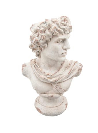 15949 busto david